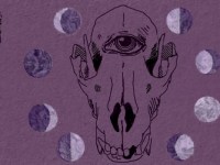 A Deep Dive Into Our Dark&nbsp;Side